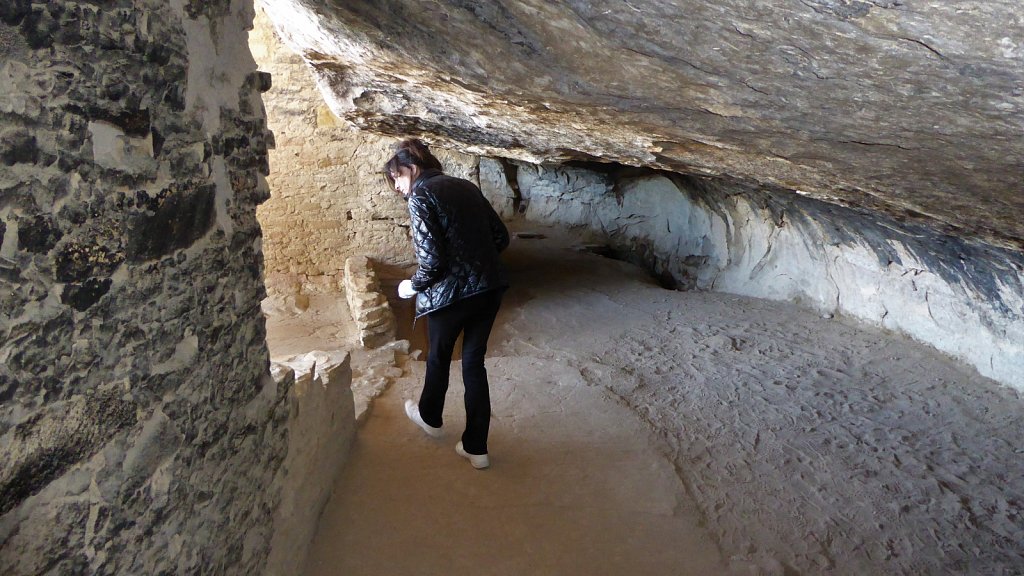 P1060788.JPG