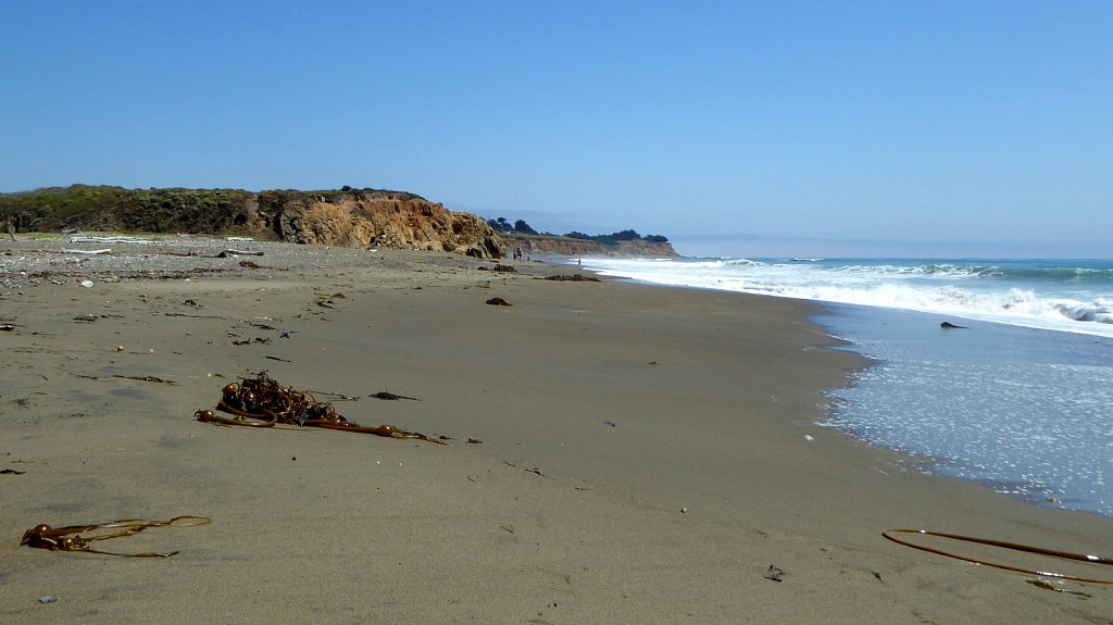 San-Simeon-State-Beach-08.JPG